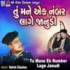 About Tu Mane Ek Number Lage Janudi Song